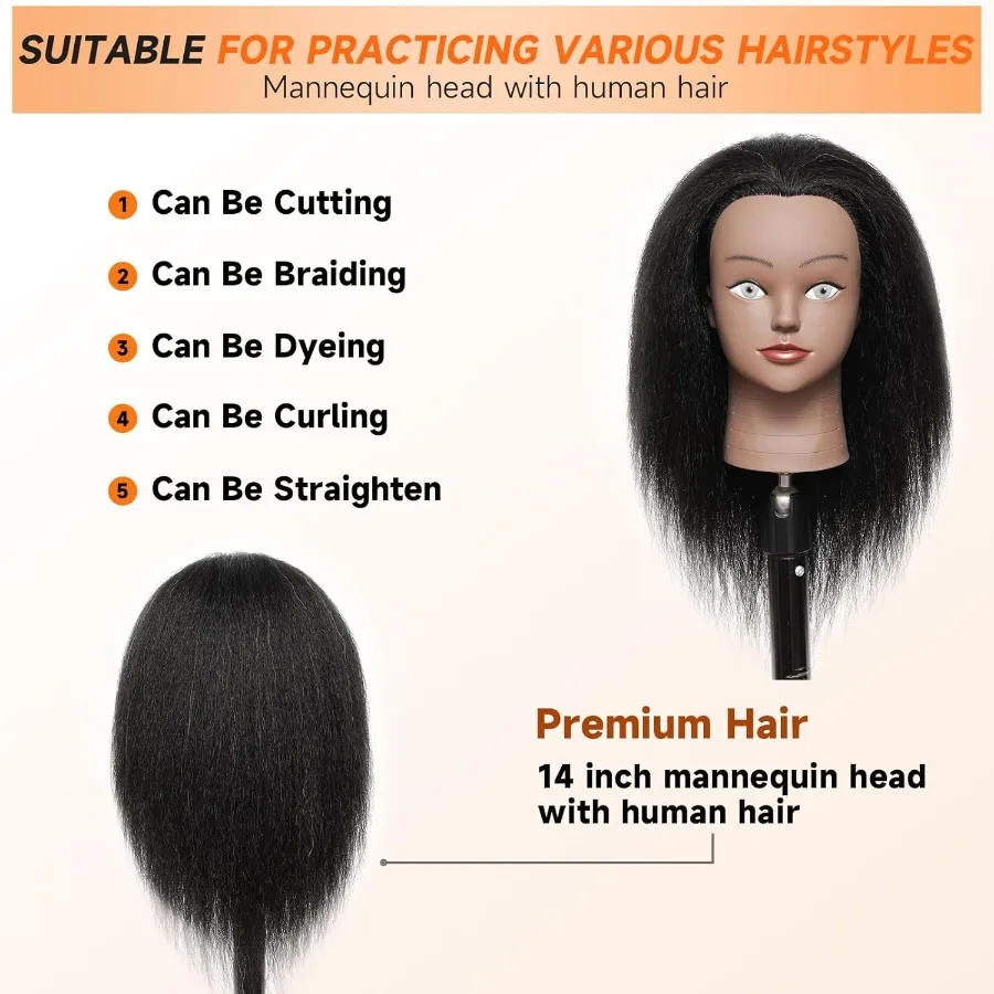رأس عارضة أزياء احترافية مقاس 14 بوصة مع 100 شعر بشري حقيقي لتدريبات الصالونات وتضفير وتدريبات القطع مجانًا