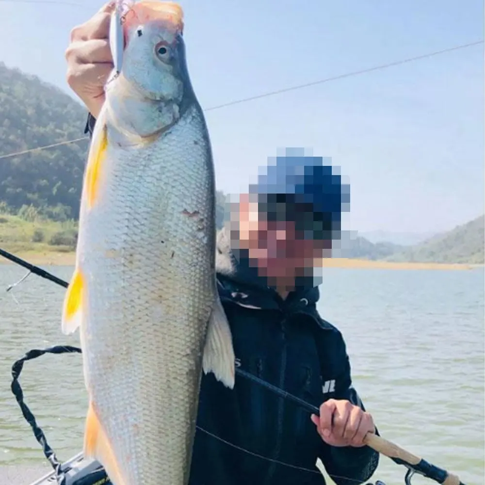 Slow Sinking Minnow 10cm 14g 6pcs/lot Fishing Lures with Long Casting System With High Quality Fishing Hooks For Trout Pike