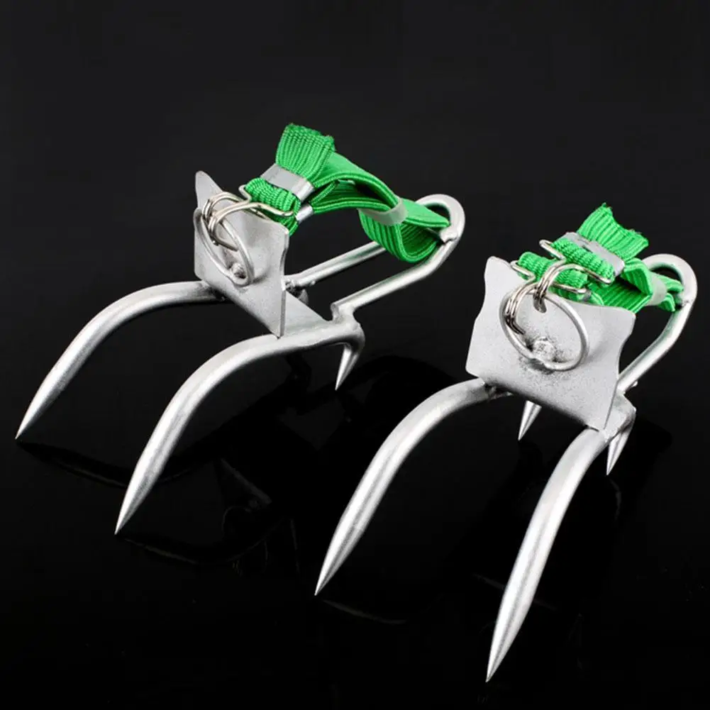 أداة تسلق الأشجار الفولاذية ، مسامير القطب لمراقبة الصيد ، قطف الفاكهة ، الاستخدام البسيط ، الأحذية #4