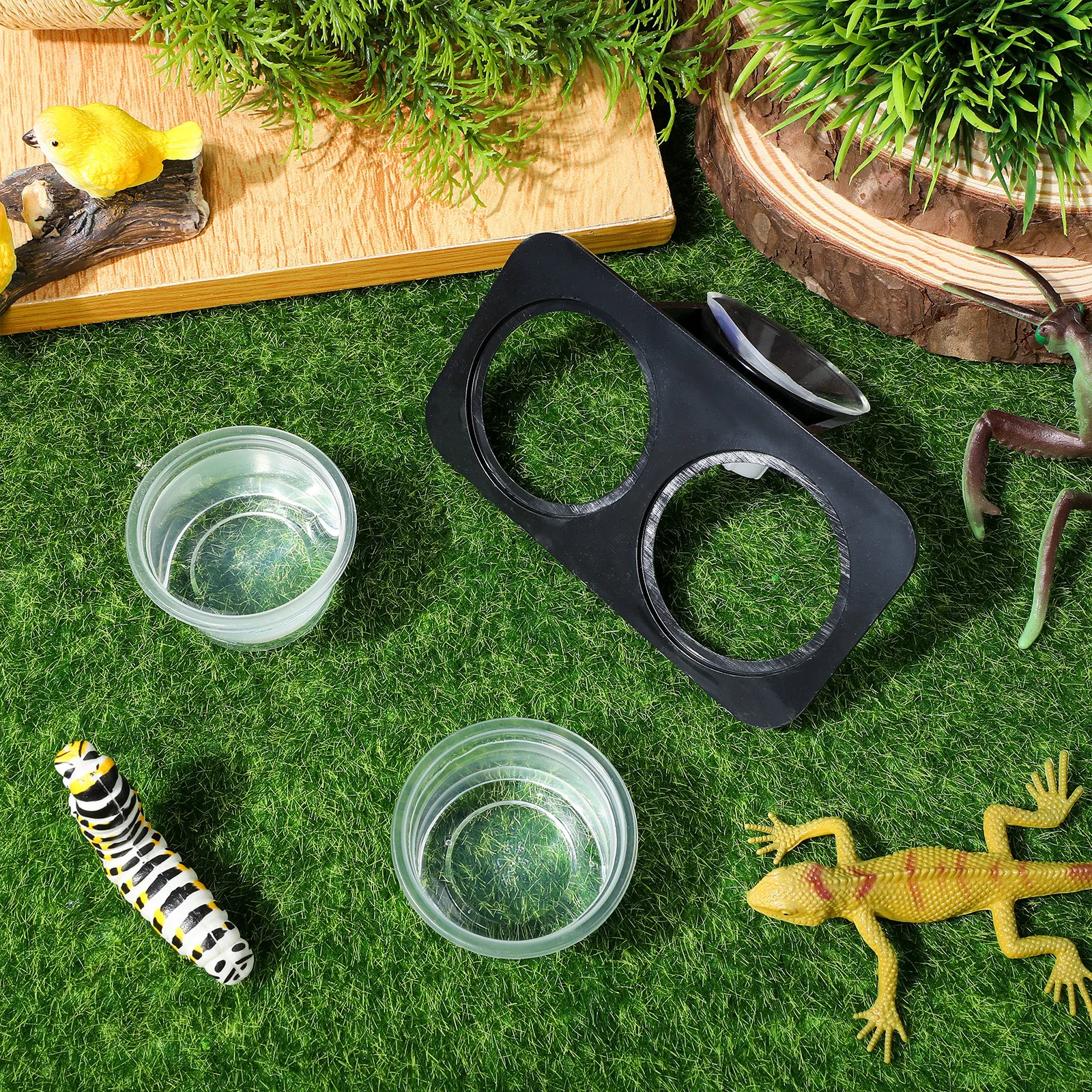 

Reptile Bowls Pet Feeder Dishes Gecko Food Water Container Suction Cup Type Lizard Turtle Storage Boxes Shelves Easy Glass