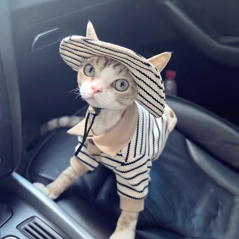 Striped Cotton Polo Shirt for Sphynx Cat Spring Khaki Sweatshirt for Kittens Cute Coat Hat Suit for Hairless Cat in Autumn