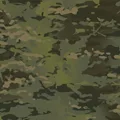 Multicam Tropic
