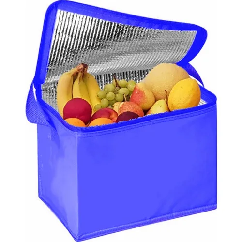 Ankaflex – support de sac isotherme, 20 lt