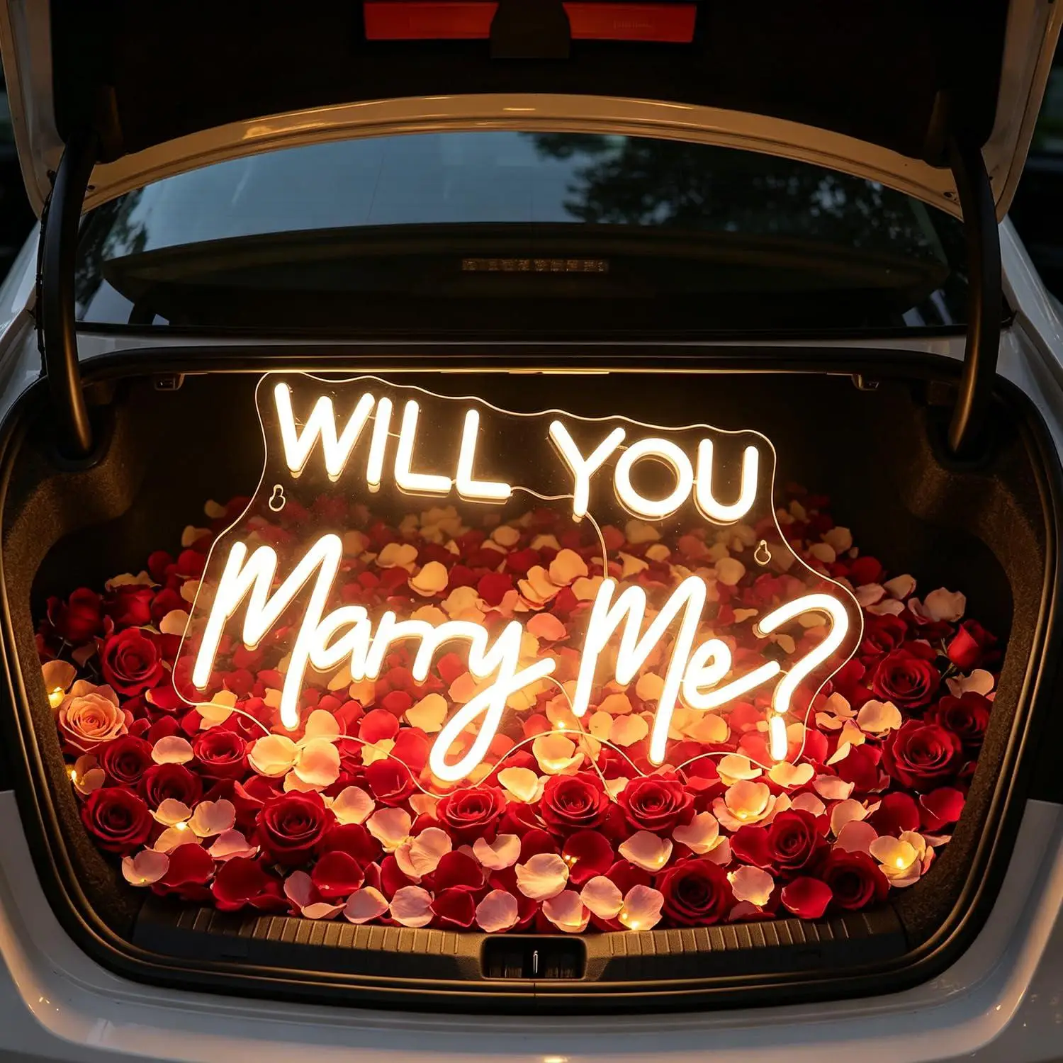 Will You Marry Me Neon Sign USB Dimmable LED Light For Proposal Engagement Wedding Bedroom Wall Decoration Night Light Gifts