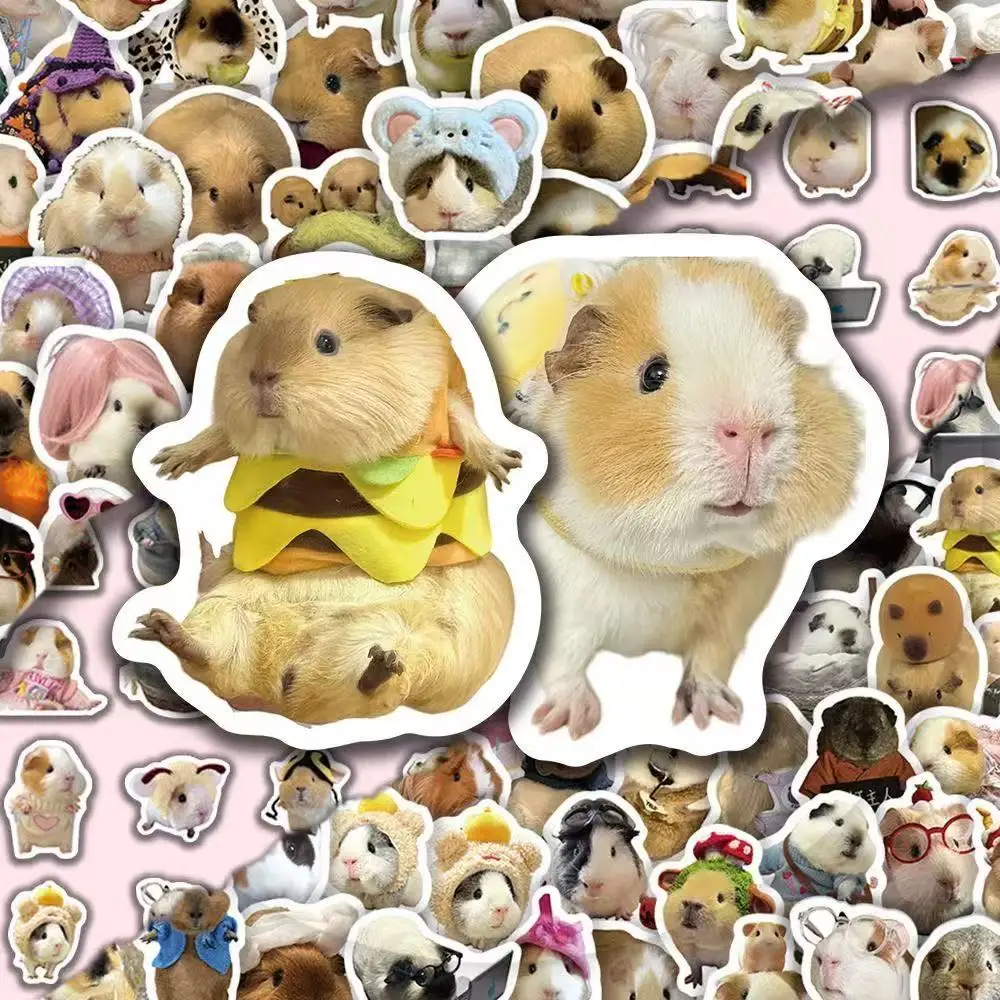 50 ملصقًا لبطاقة، إيموجيس القطط الشهير على الإنترنت، ملصقات جرافيتي، ستائر يدوية لطيفة ومضحكة ومضحكة عبر الحدود #1