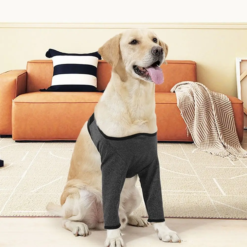 Grey Adjustable Dog Leg Support Sleeve Elastic Soft Dog Knee Pads Dirt-proof Anti-lick Dog Support Brace For Dog Front Leg