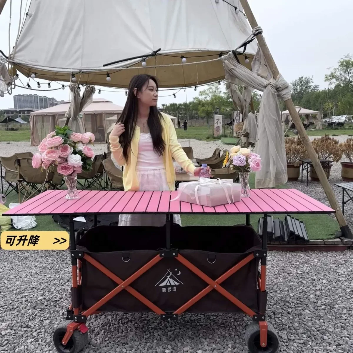 LH ,cart with parasol, stall car, large capacity folding multi-purpose portable camp car
