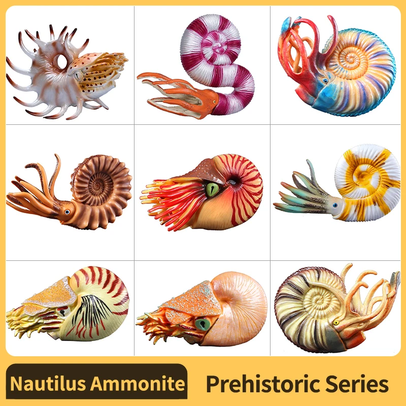 Nautilus ammonoid ตุ๊กตาพลาสติกรูป-สนุกเล่นเพื่อการศึกษาของเล่นสําหรับ Boys,Girls & Kids อายุ 18M + Naautilus