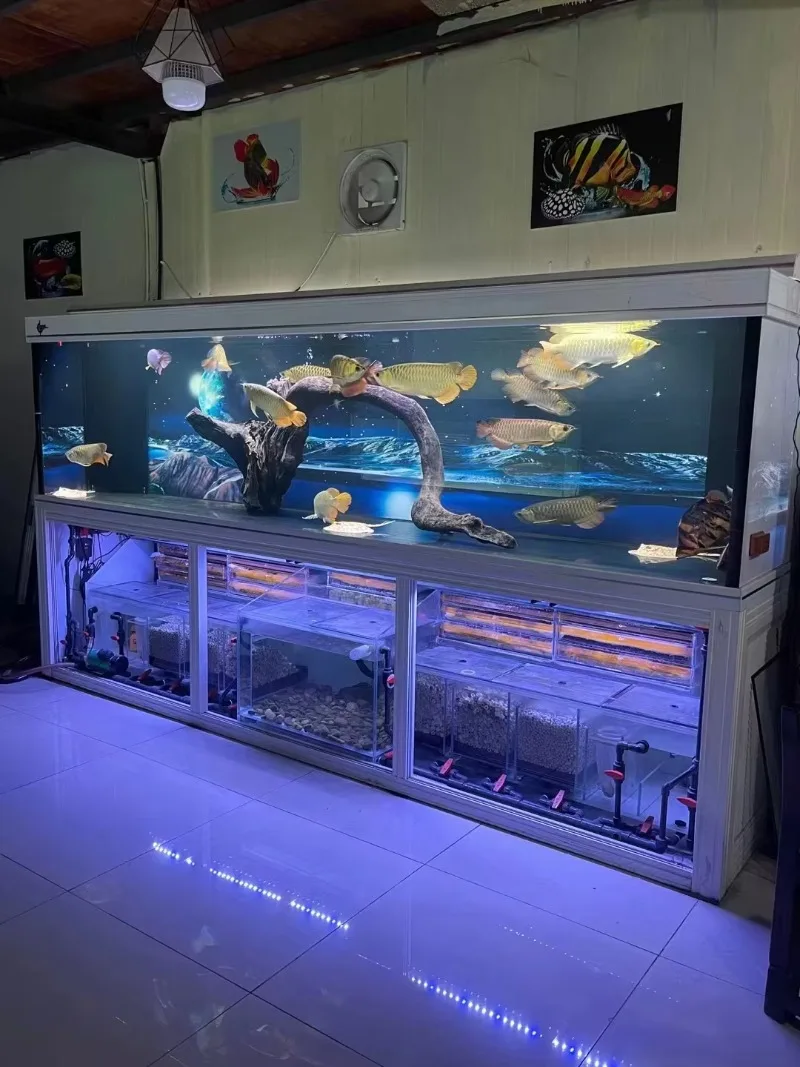 Aquariums Fish Tanks Aquariums and Accessories 3000 mm Fish Tanks Aquariums and Accessories