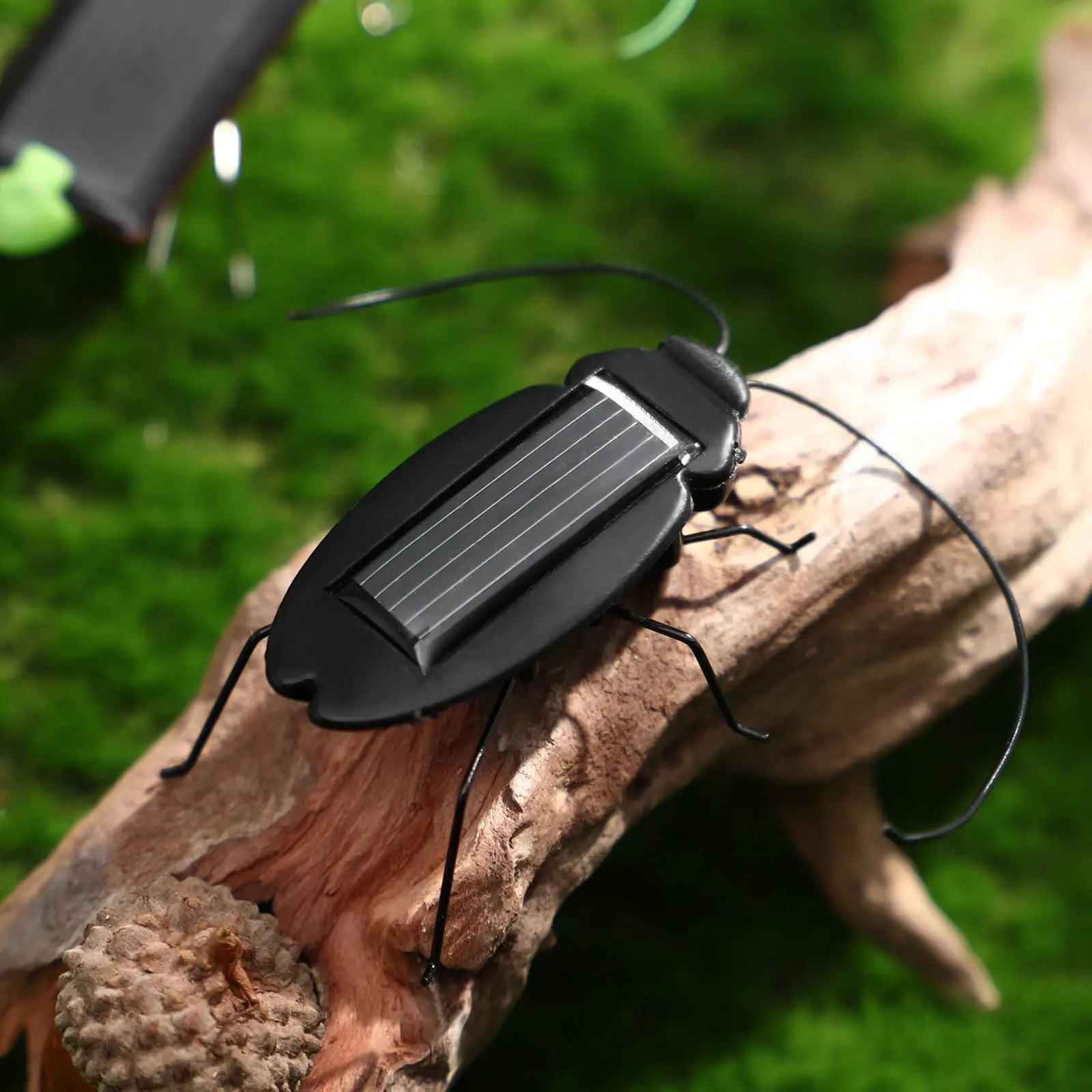 لعبة ألغاز الجندب الشمسية للأطفال، هدية مختارة محاكاة الحشرات، هدية للأولاد والبنات، لعبة متحركة مضحكة للأطفال #4