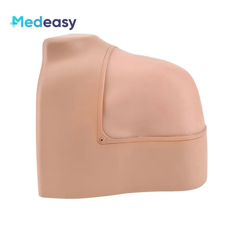 Hot Sale Reusable Medical Training Shoulder Model for Training, Shoulder Simulator Trainer