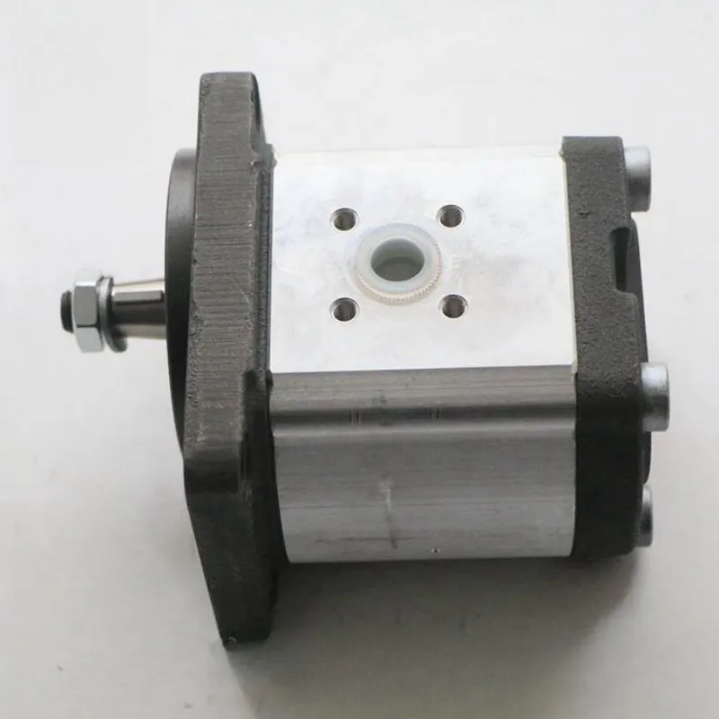 

AZPF Series Hydraulic Pump LCP20KB AZPF - 12-011 - S0007 AZPF-21-025RRC20PB AZPF-21-025LRR20PB AZPF-21-022RRR20MB Gear Pump