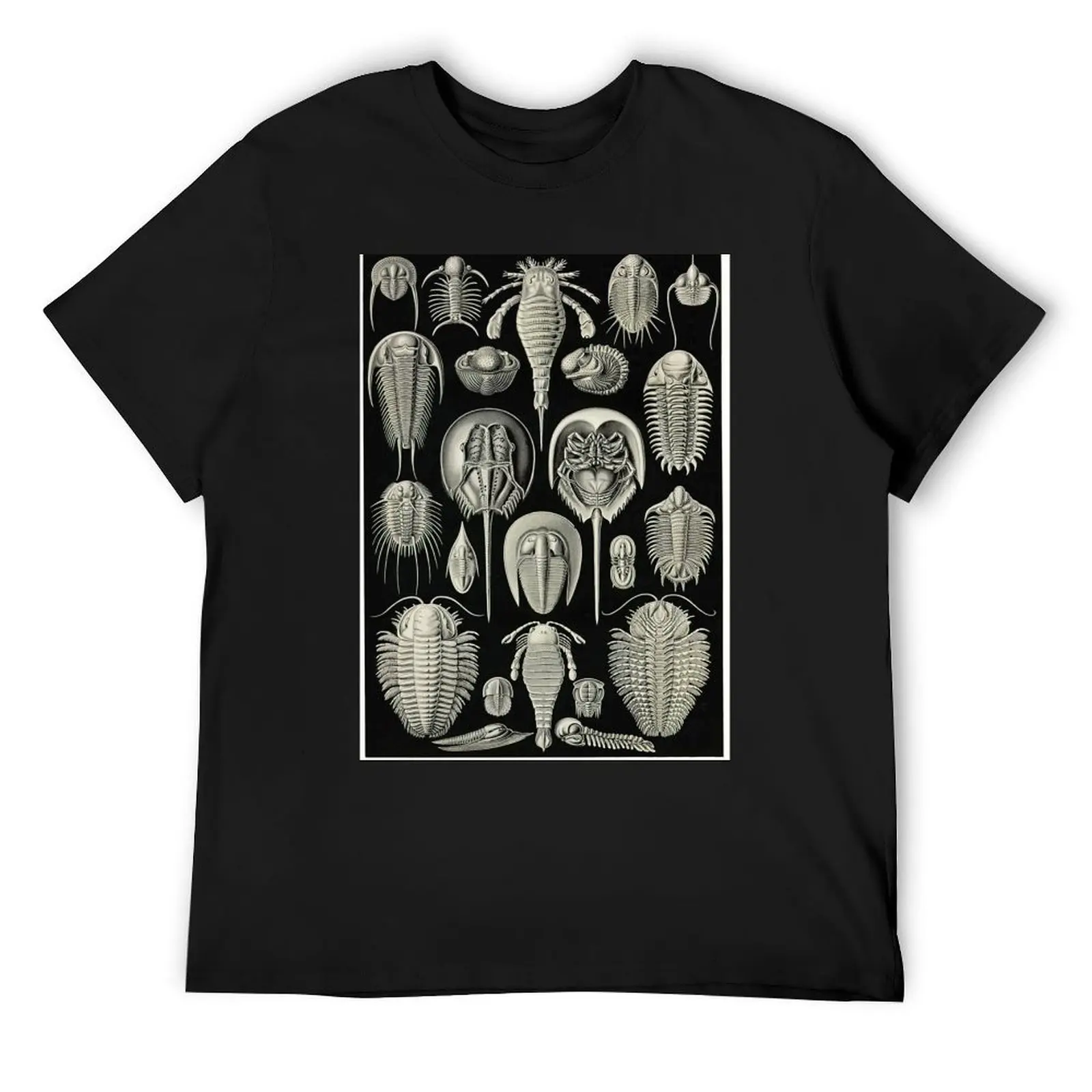 Plate 47. Trilobites and Sea Scorpions T-Shirt oversized basketball graphic tees mens big and tall t shirts