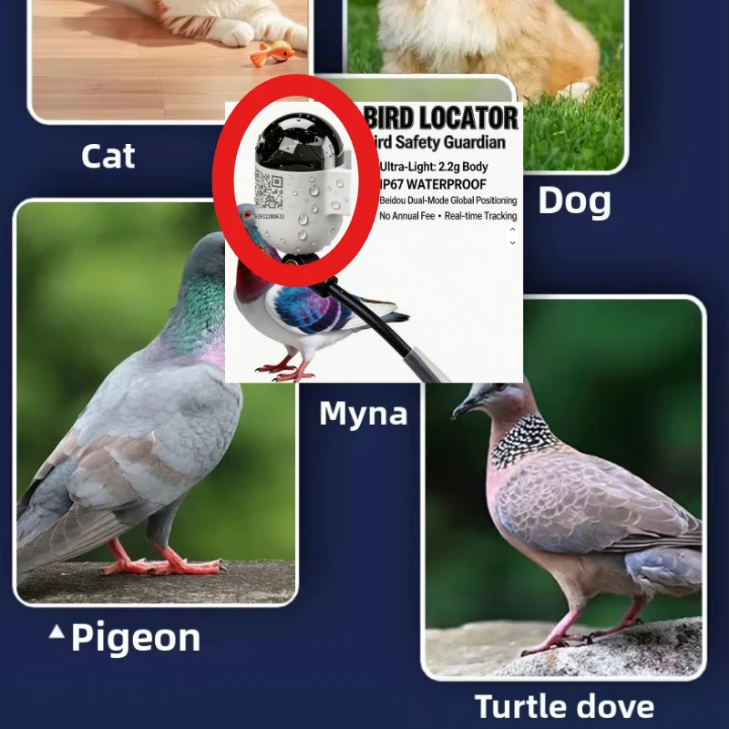 Mini Real-Time GPS  Locator Waterproof Pigeon Ring 4G Network GSM Android IOS Trajectory Locator Made Durable Plastic LBS