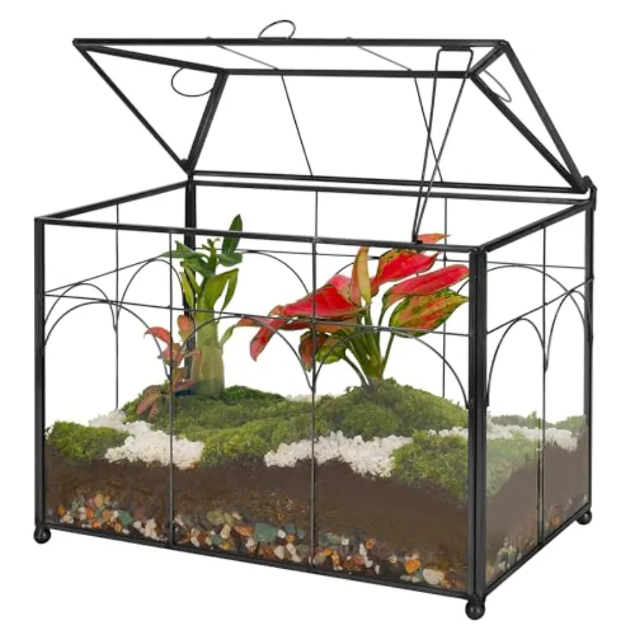 Handmade Glass Planter Terrarium with Lid, Indoor Tabletop Centerpiece Display Box Modern Decor DIY Gift Plant Terrarium Contai
