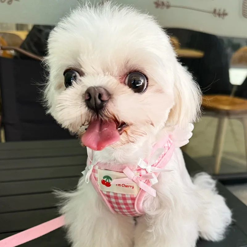 New Cute Angel Wings Pet Harness Leash Set for Small Dogs Cats Breathable Mesh Puppy Vest Walking Harness Kitten Dog Collar Set