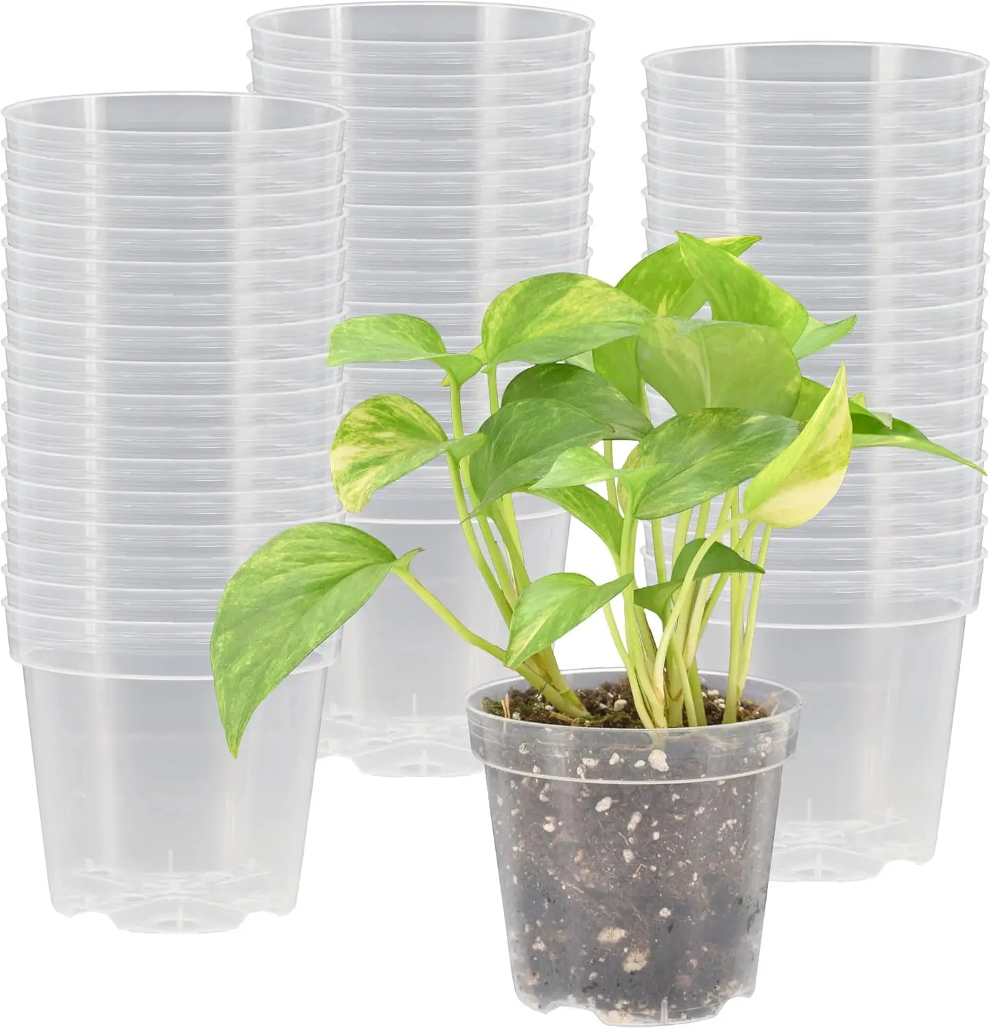 

Набор из 50 прозрачных горшков для рассады (4 дюйма) с дренажными отверстиями, прочные пластиковые прозрачные горшки для выращивания растений