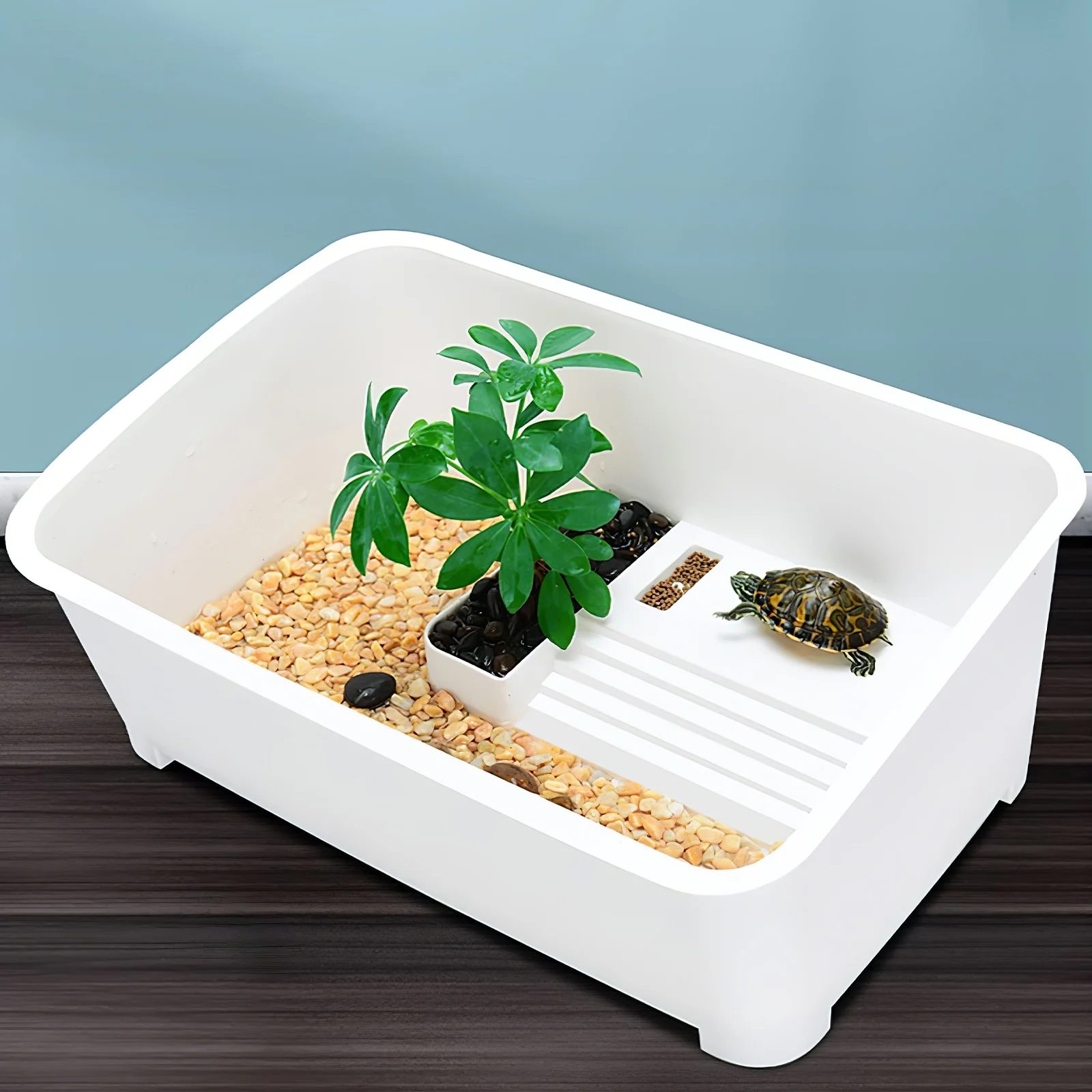 

Creative Plastic Turtle Tank Aquarium Reptile Habitat With Platform Ideal For Resting Sunning Eating Laying Eggs Hibernation