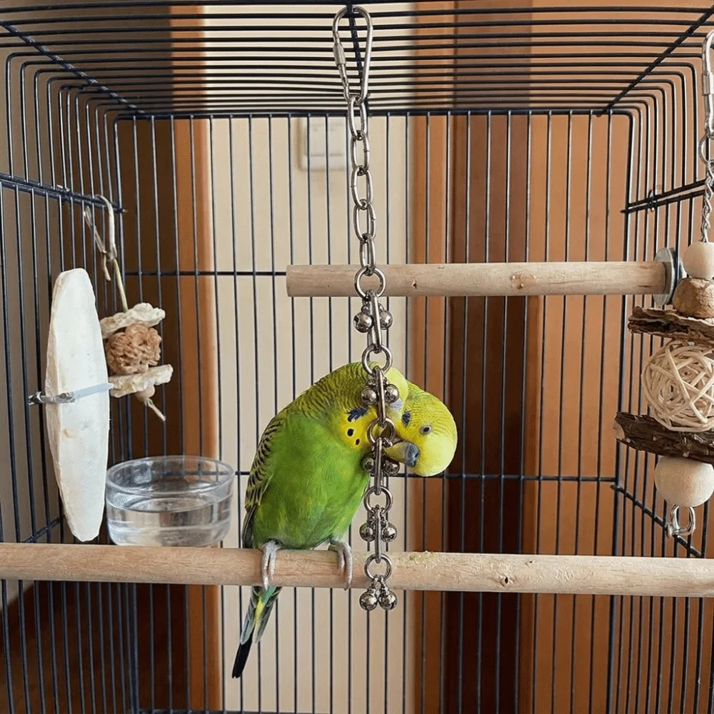 Stainless Steel Parrot Gnaw Toy Wear-resistant Rust-Proof Hanging Molar Toy Bite Resistant Parrot Bite String Play Activities