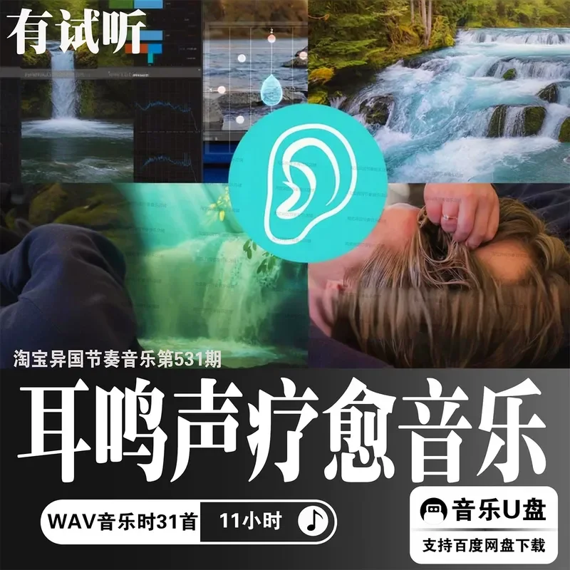 SPA Tinnitus Healing Ear Meditation Sound Source Earphones Relaxation Music Lossless WAV Massage Music U Disk Help Sleep