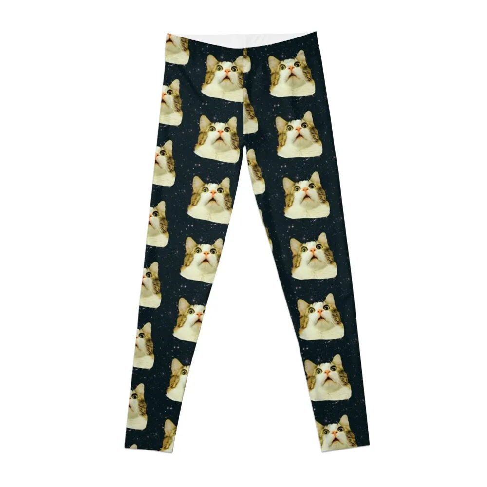 Stunned Space Cat Leggings sport legging harem pants Womens Leggings