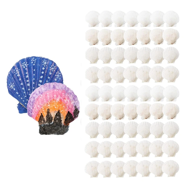 

100 Pcs Sea Shell For Crafting Natural Large Scallop Shells White Oyster Shells Bulk For Decorating DIY Home Beach