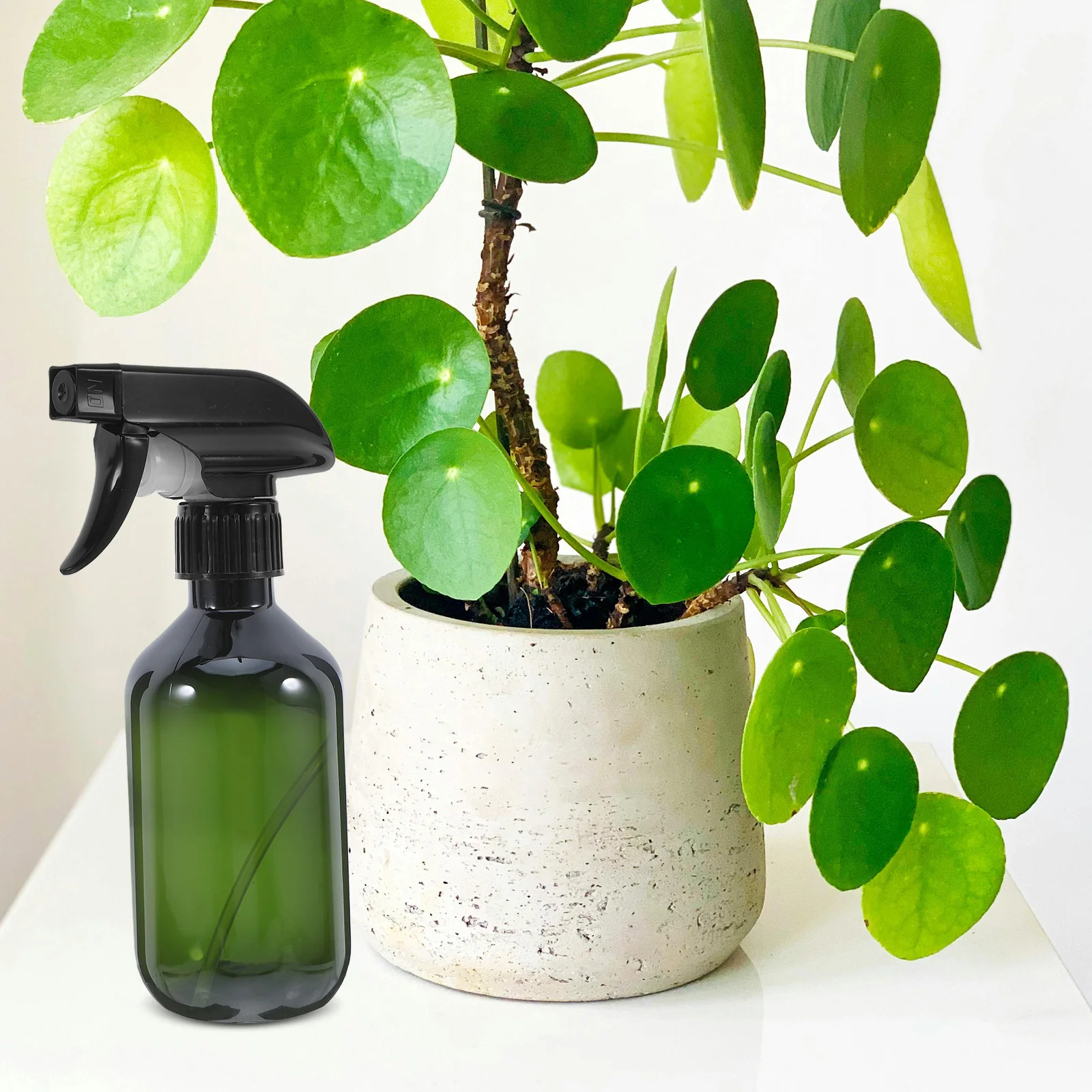 

2Pcs Transparent Spray Bottles Refillable 300ml Multipurpose Water Mister Cleaning Hair Plant Care Pet Grooming