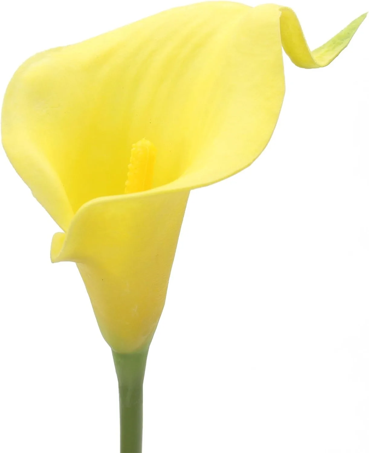 5Pcs Artificial Yellow Latex Horseshoe Lotus Home Room Decoration Bride Wedding Party Bouquet Decor Christmas Vase Accessories