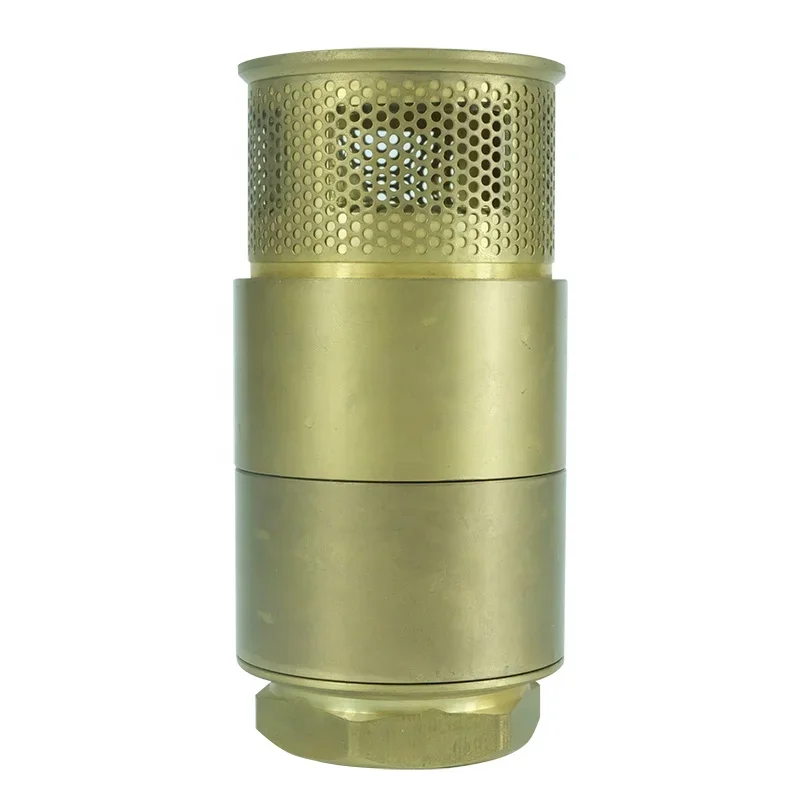 DKV 3/4'' Check Valve Brass NPT Thread Durable Non Return Brass Foot Valve DN25 Durable Water Pump Bottom Valve