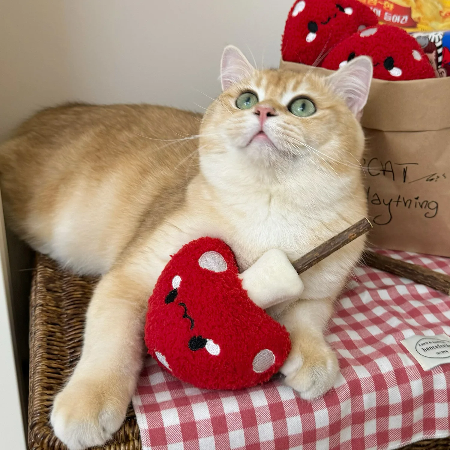 

Cat Teething Toys Mushroom Bite-resistant Teasing Cat Stick Muten Polygonum Self High Boredom Relief Pet Supplies