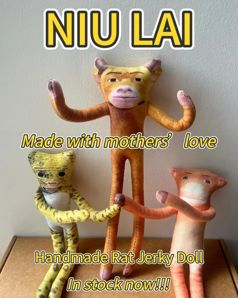 Custom Bendable Plush pillows, Personalized Photo Stuffed home decoration, Posable Keepsake Birthday Anniversary