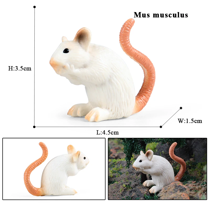 Oenux Simulação Roedores Animais Modelo Rato Selvagem Marmota Chinchilla Rato Esquilo Figura de Ação Bonito Mini Coleção Kids Gift Toy