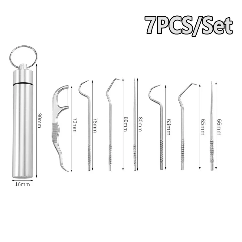 Stainless Steel Toothpick Set Reusable Toothpicks Tooth Flossing Tartar Removal Tool for Tooth Oral Cleaning with Storage Tube