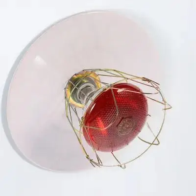 Kit de Lámpara Calefactora para Jaulas de Animales, Resistente a Altas Temperaturas, Luz de Calor para Ganado, Mascotas y Reptiles, Uso Confortable