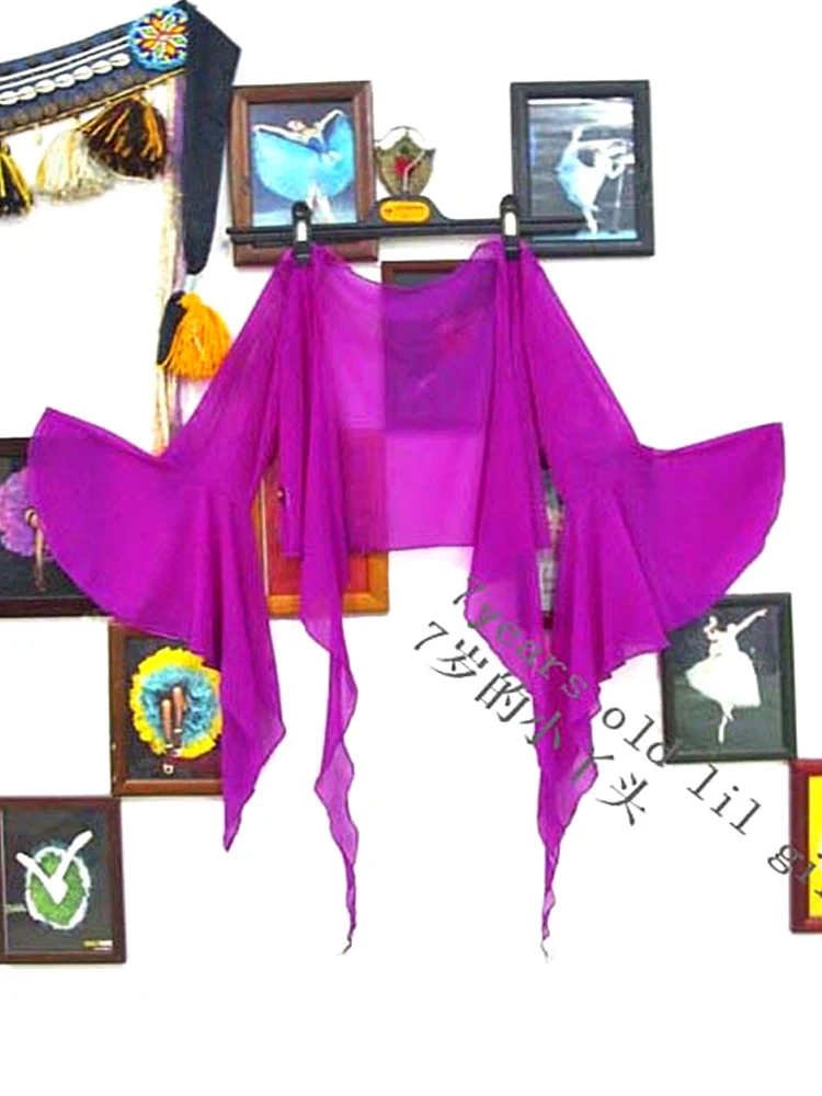 Belly Dance Top Transparent Thin Belly Dance 7 Flare Blouse Top CE78