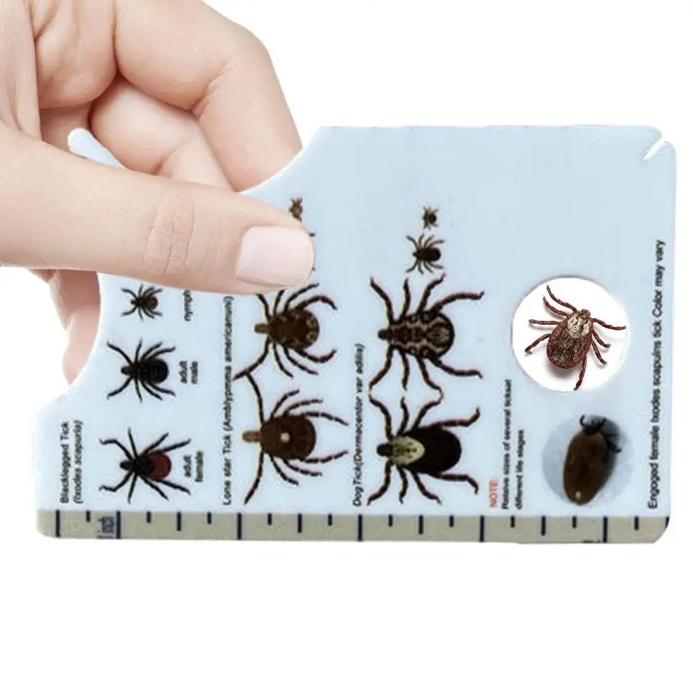 Portable Effective Tick Remover Card Magnifying Glass Plastic Lice Catcher Tool Pocket Size Durable Dog Cat Clean Tool Pets