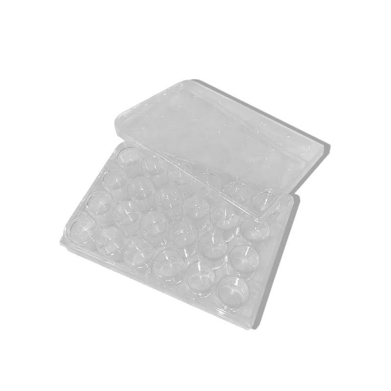 

Laboratory Medical Biological Scientific Lab Supplies Petri Bacterial Culture Plate Plastic Disposable 24 Wells