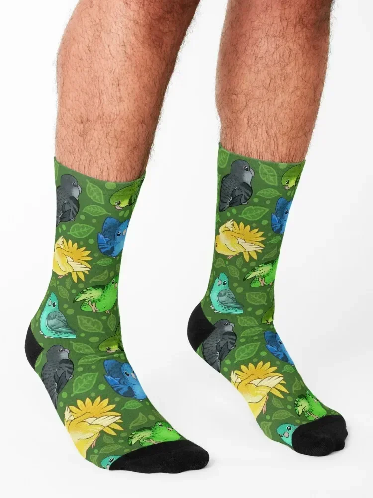 Lineolated Parakeet Cuties Socks ankle Run New year's christmas gift Socks For Man Women's