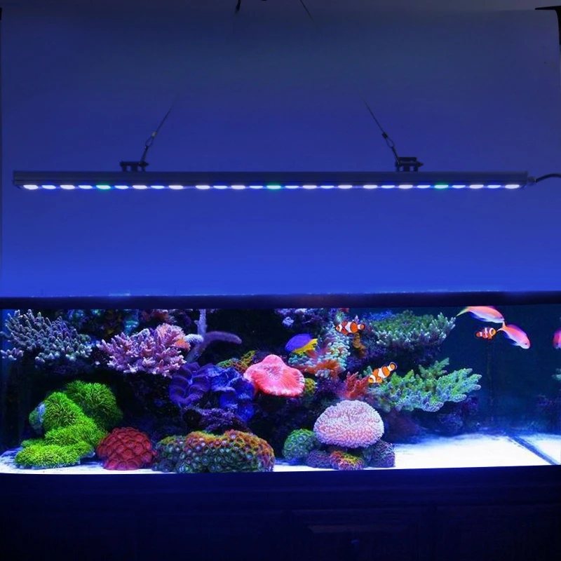 Fish tank  lighting low voltage usb waterproof light double row aquarium brightening light 30w aquarium squid
