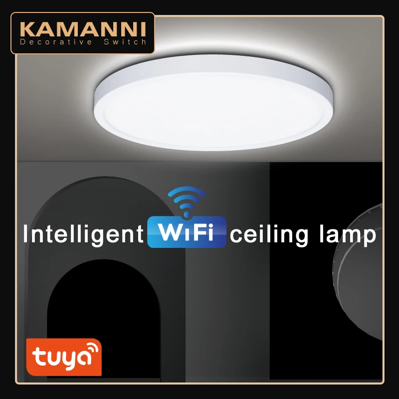 

Modern LED Smart Ceiling Light Dimmable Home Lighting 28W 38W WiFi Tuya App AI Voice Control Slim Surface Mount Ceiling Light