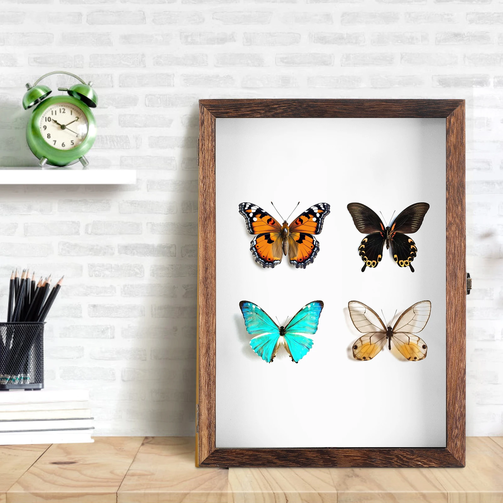 Specimen Display Box Retro Acrylic Wood Grain Shadow Frame Dustproof Storage Case for Butterfly Coin Jewelry Craft