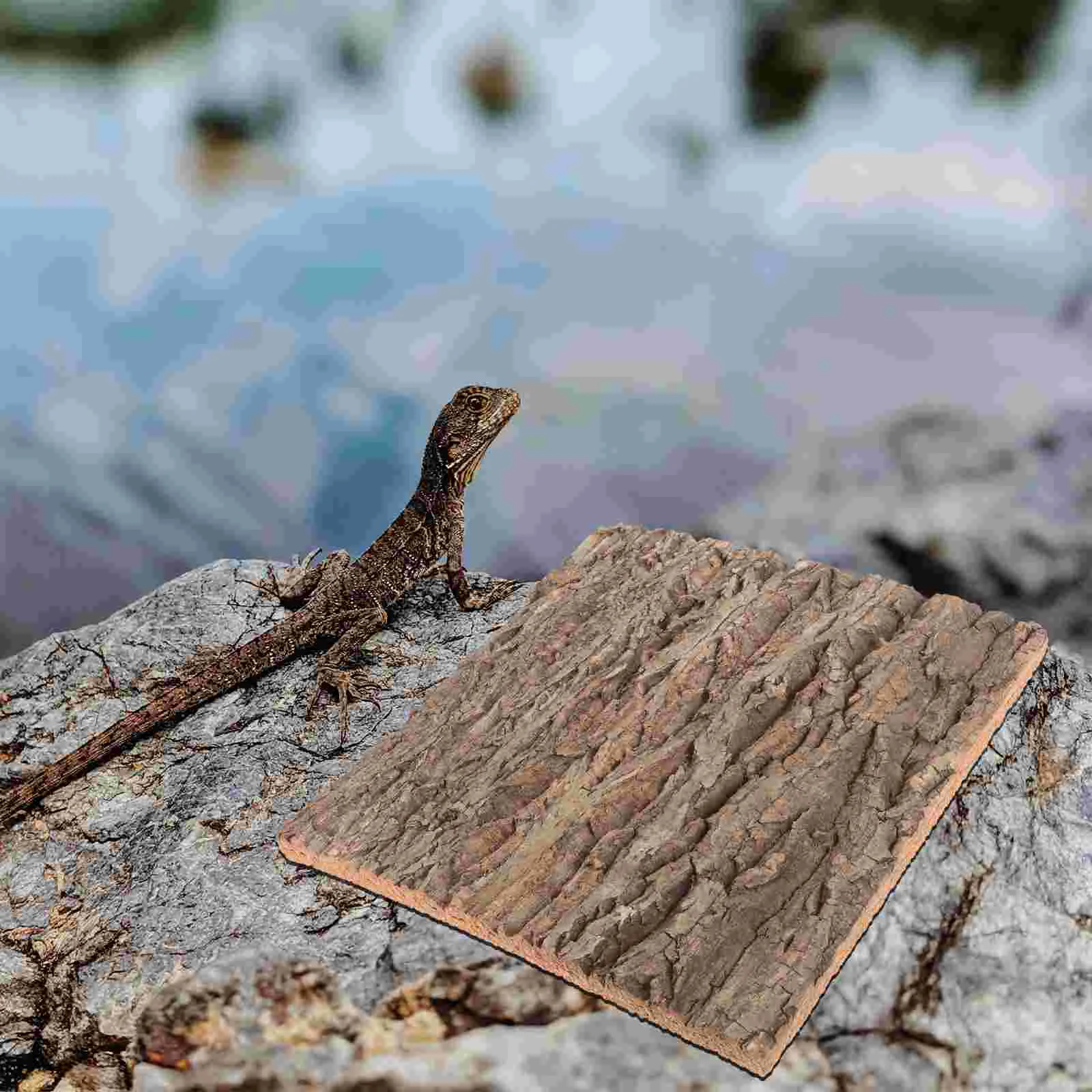 Cork Terrarium Background Natural Reptile Cork Bark Backdrop Climbing Mat for Beared Dragon