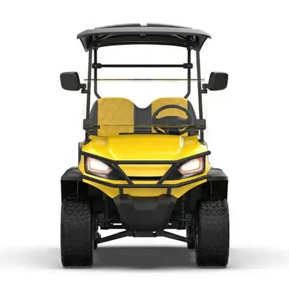 TongCai Best Price High Quality Customized 2 4 6 Seater EV Golf Car