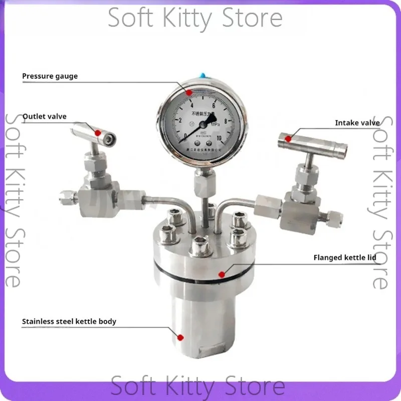 Hydrothermal Synthesis Autoclave Reactor Vessel with Inlet Outlet Gauge 25/50/100ML 6Mpa