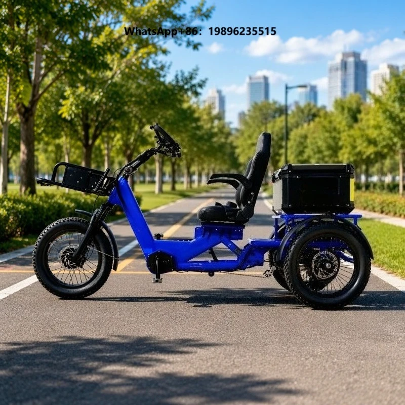 High Power 1750W Dual Motor Cargo E Trike, 48V 60Ah Battery Pack, 3 Wheels Off Road Design, 200KM Long Distance