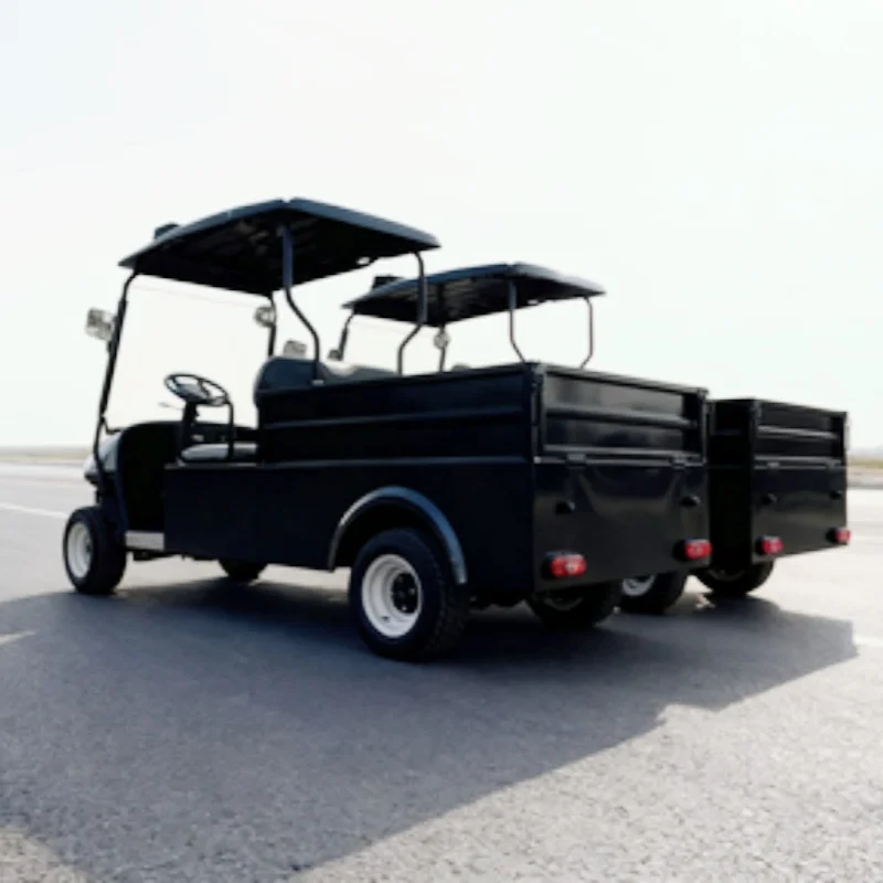 Stable Quality Long Durability Lithium Cart New Energy Buggy With Rear Cargo Box Roof LED Light Strips Convertible Cargo Cart