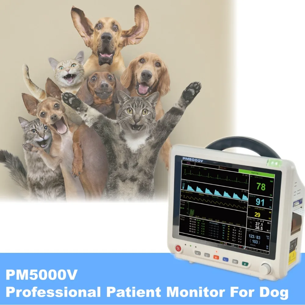 환자 혈압 모니터, 12.1 인치 LCD, 수의학, PM5000V