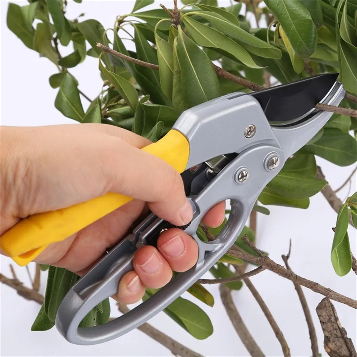 

ABJA Garden Supplies Labor Saving Garden Pruning Shear Non-Slip Handle Branch Shear Carbon Steel Garden Scissors Tree
