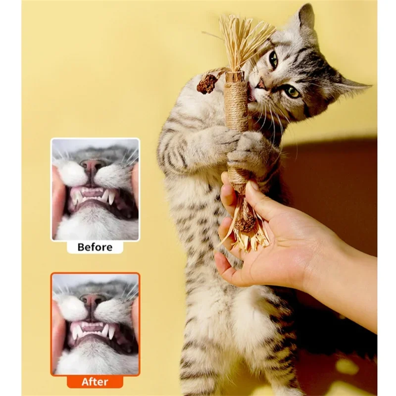 1/5/10/20/40PCS Natural Matatabi Pet Cat Snacks Stick Cleaning Tooth Catnip Actinidia Silvervine For Cats Accessory Pet Cat Toy