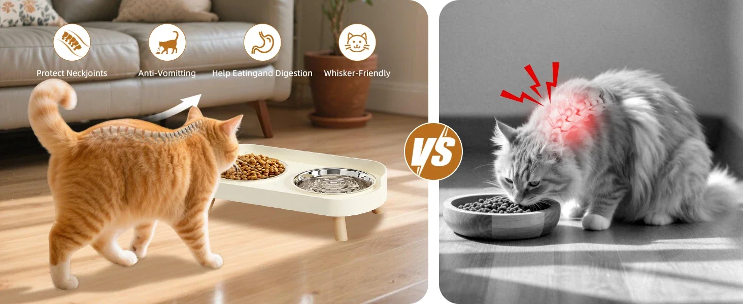 raised cat bowls for indoor cats